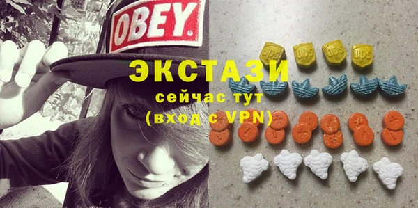 стаф Дмитровск