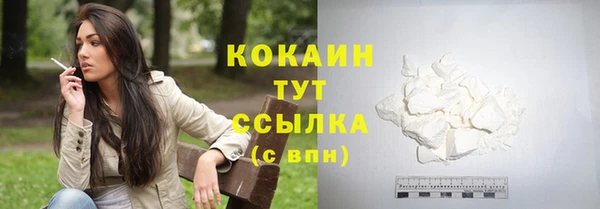 прущая мука Дмитриев