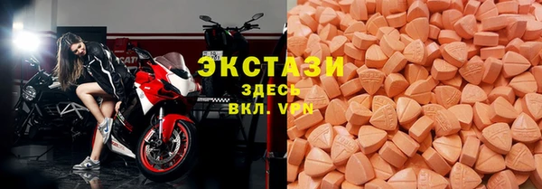 стаф Дмитровск