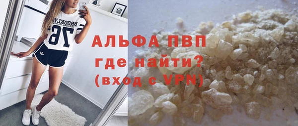 стаф Дмитровск