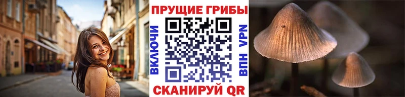 Галлюциногенные грибы Magic Shrooms  дарнет шоп  Зарайск 